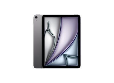 Image Tablette APPLE iPad Air (A2902) 256 Go Gris sidéral Wifi 11