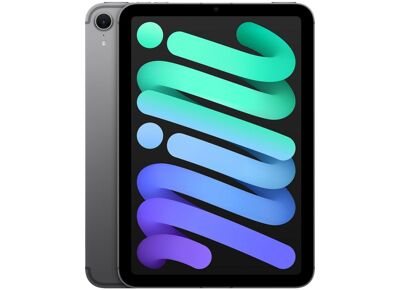 Image Tablette APPLE iPad Mini 7 (2024) Gris sidéral 128 Go Wifi 8.3