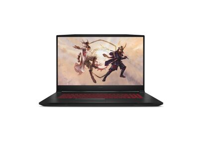 Image Ordinateurs portables MSI Katana GF76 11UEK i7 16 Go RAM 1 To HDD 256 Go SSD 17.3