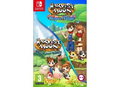 Image Jeux Vidéo Harvest Moon - Skytree Village