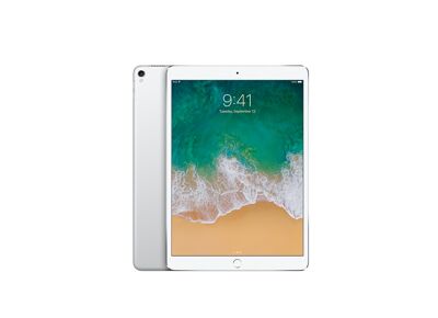 Image Tablette APPLE iPad Pro 1 (2015) Argent 256 Go Wifi 12.9