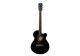 Image Guitare SHIVER GFS-ASCE 201 Noir
