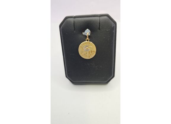 Image Pendentif Or jaune Or blanc