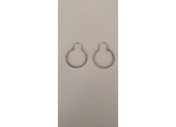 Image Boucles d'oreilles Créoles Or blanc